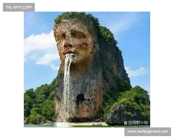 永歌森林探索之旅:揭示大自然奥秘与生态奇观的神秘面纱 永歌森林探索之旅:揭示大自然奥秘与生态奇观的神秘面纱