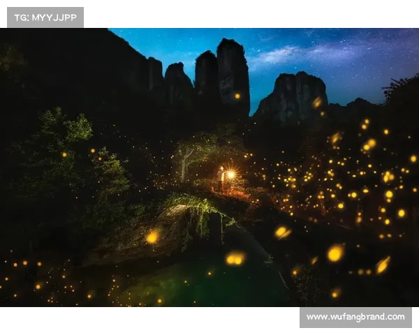 穿越神秘荧光森林的冥想之旅引导探索心灵深处的奇异光辉 穿越神秘荧光森林的冥想之旅引导探索心灵深处的奇异光辉
