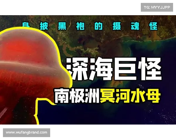 深海传说中的五大爱与牺牲故事揭秘人与海的永恒誓言与情感纷争 深海传说中的五大爱与牺牲故事揭秘人与海的永恒誓言与情感纷争