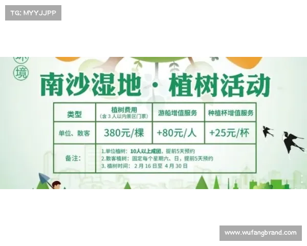 北美洲杯赛全面参与攻略与技巧解析助你制胜赛场