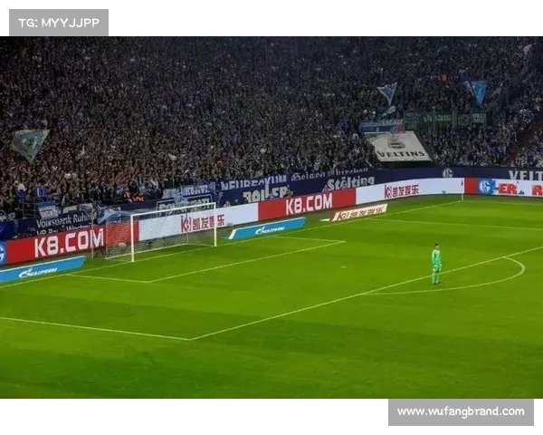 如何深入分析法尔范在沙尔克04的场上踢球位置及其战术作用