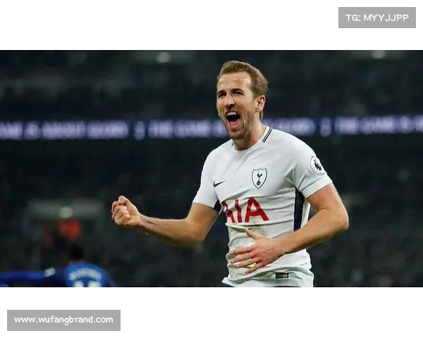 揭秘哈里凯恩如何凭实力与智慧征服英超赛场成为顶级射手