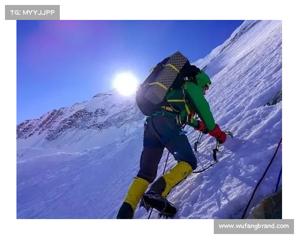 如何从拼搏与坚持的角度深入理解运动员的职业精神与职业态度