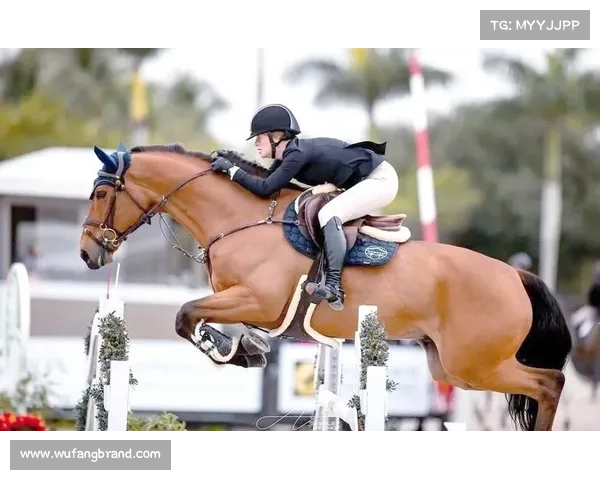 德国女子马术队历史性夺得奥运团体金牌展示卓越实力和默契配合