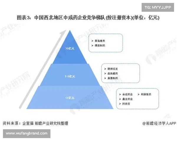 提升皇马竞争力与重塑足球格局的战略路径与未来发展方向探讨